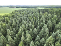 dji_fly_20260708_180026_13_1783551638013_photo.jpeg