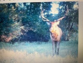 elk5.jpg