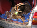 fall09012.JPG