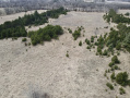 image00001_1.jpeg