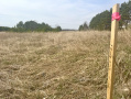 image00001_2.jpeg