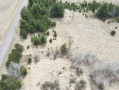 image00002_1.jpeg
