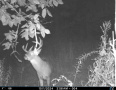 image00002_1.jpeg
