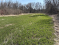 image00002_3.jpeg