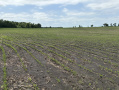 image00002_5.jpeg