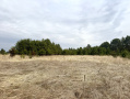 image00002.jpeg
