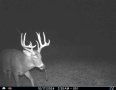 image00003_1.jpeg