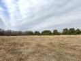 image00003.jpeg