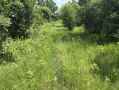 image00004_4.jpeg