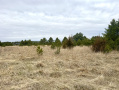 image00004.jpeg