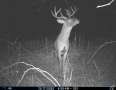image00004.jpeg