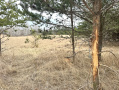 image00005_1.jpeg