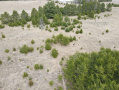 image00005_2.jpeg