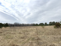 image00005.jpeg