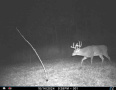 image00006_1.jpeg