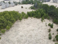 image00006_2.jpeg