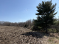 image00006_3.jpeg