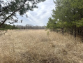 image00006.jpeg