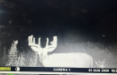 image00007_1.jpeg