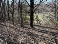 image00007_3.jpeg