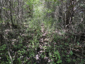 image00007_5.jpeg