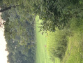 image00008_1.jpeg