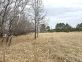 image00008_2.jpeg