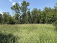 image00008_6.jpeg