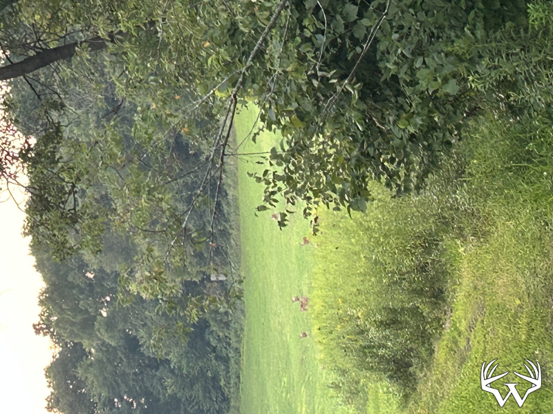 image00008.jpeg