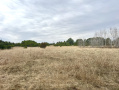 image00009_1.jpeg
