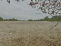 image00009_2.jpeg