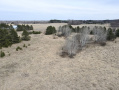 image00009_3.jpeg