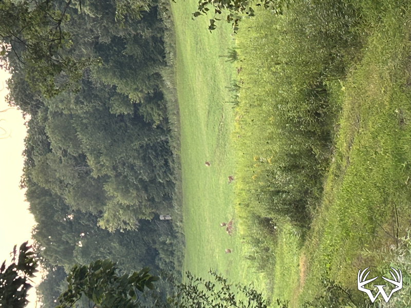 image00009.jpeg