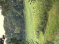 image00009.jpeg