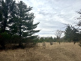 image00010_1.jpeg