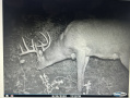 image00010_1.jpeg