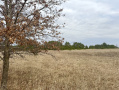 image00010_2.jpeg