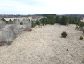 image00010_3.jpeg