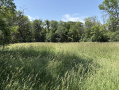 image00010_6.jpeg
