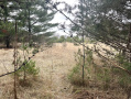 image00011_2.jpeg