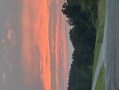 image00011_2.jpeg