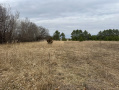 image00011_3.jpeg