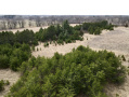 image00011_4.jpeg