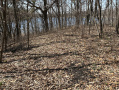 image00011_5.jpeg