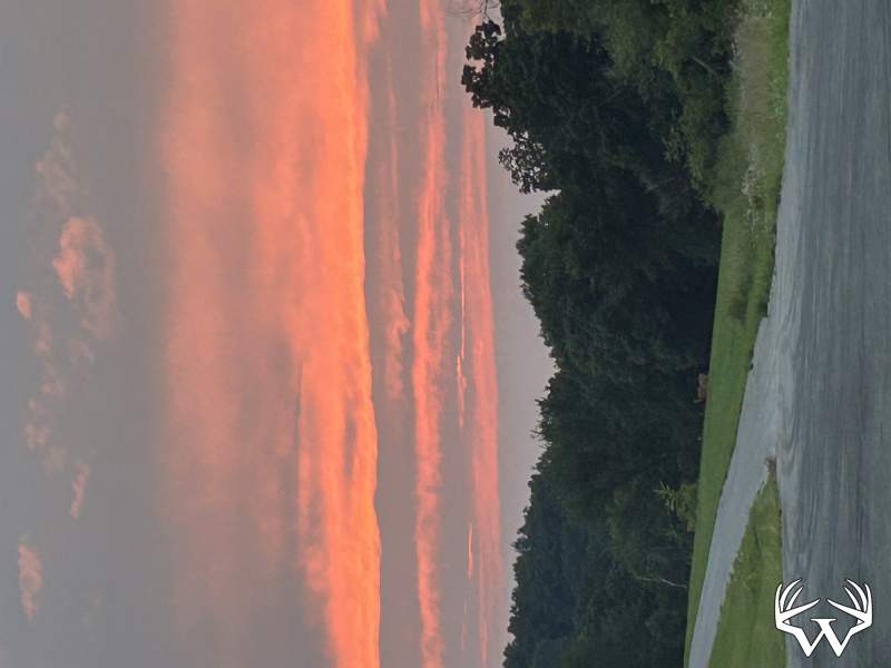 image00011.jpeg