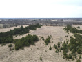image00012_3.jpeg