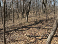 image00013_2.jpeg