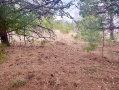 image00014_1.jpeg