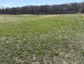 image00014_2.jpeg