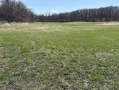 image00015_2.jpeg
